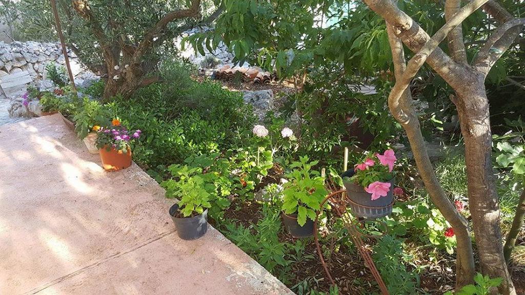 Holiday Home Zeljana Каприе Экстерьер фото