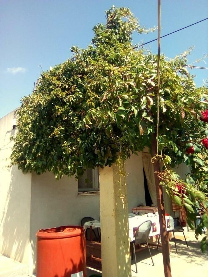 Holiday Home Zeljana Каприе Экстерьер фото